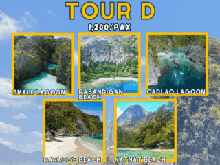 TOUR D