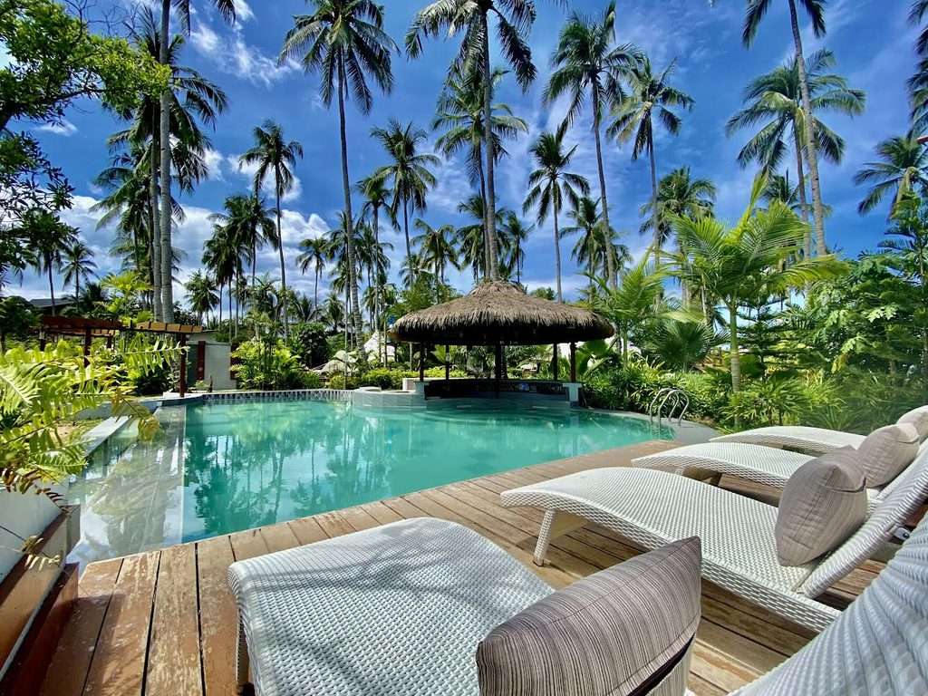 Swimming pool with timber deck, loungers and palm trees at Nacpan Beach Glamping, El Nido
